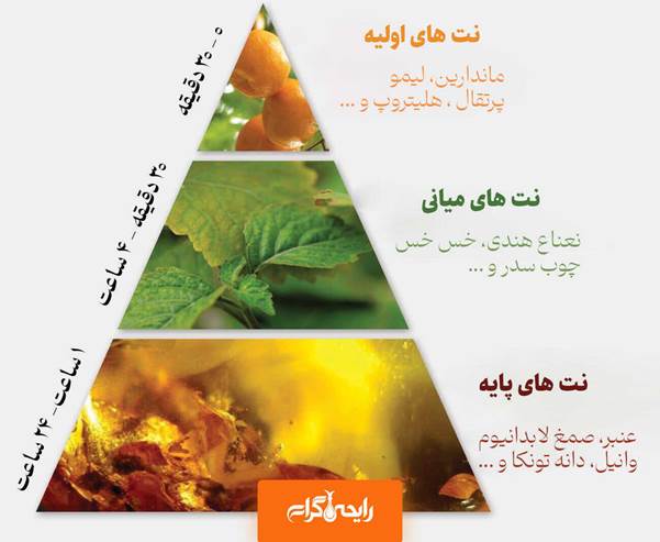 هرم بویایی عطر - ساختار لایه ای